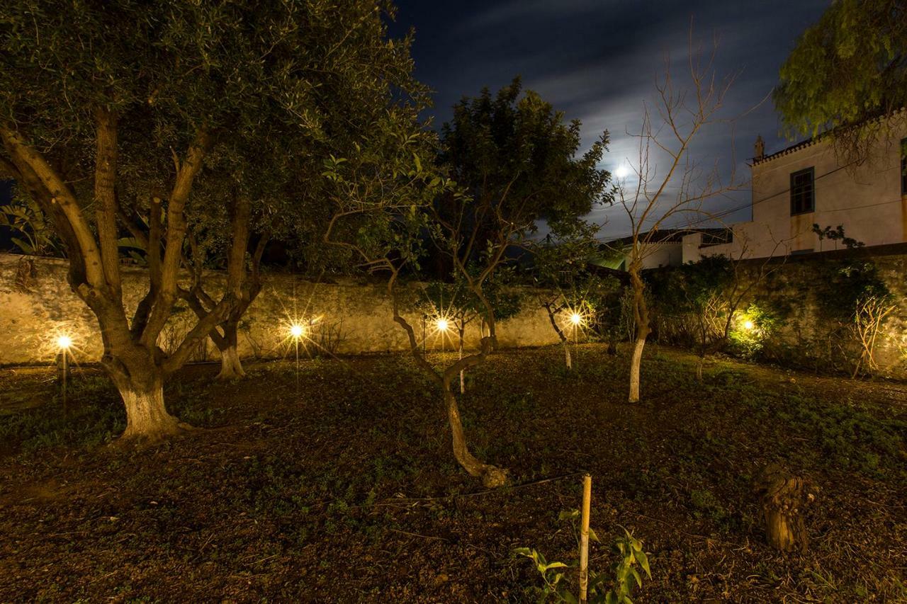 スペツェス Two Olive Treesゲストハウス エクステリア 写真