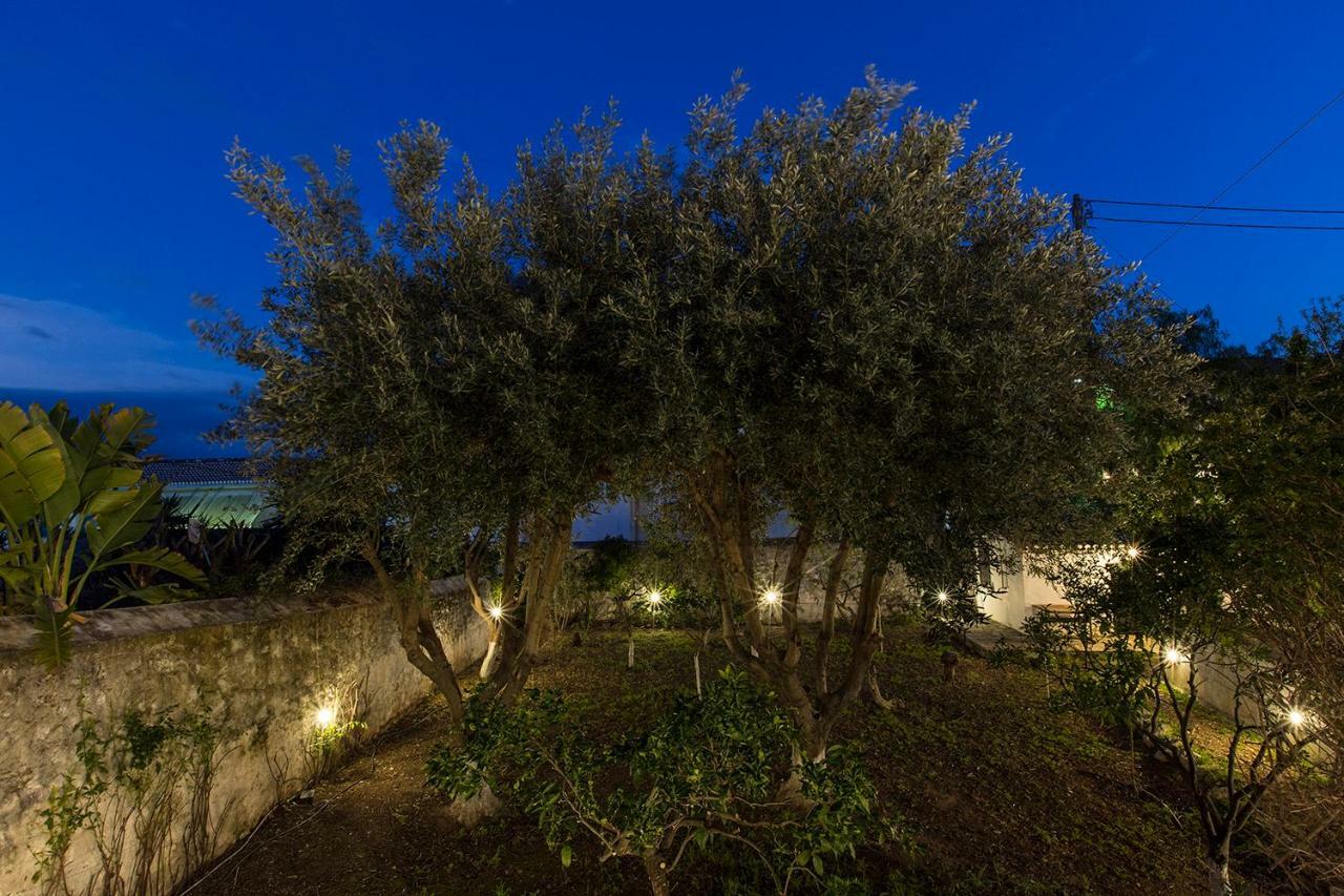 スペツェス Two Olive Treesゲストハウス エクステリア 写真