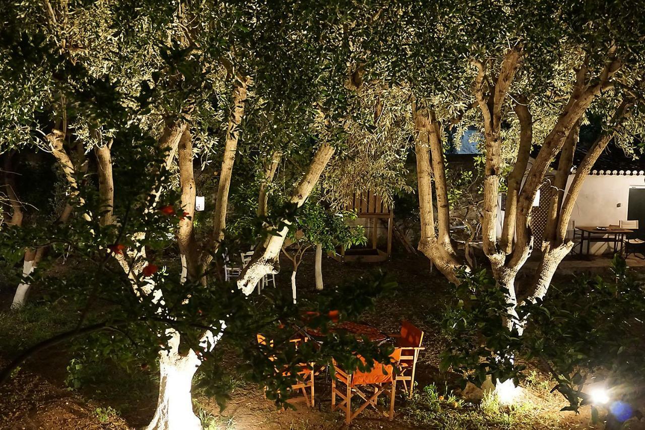 スペツェス Two Olive Treesゲストハウス エクステリア 写真