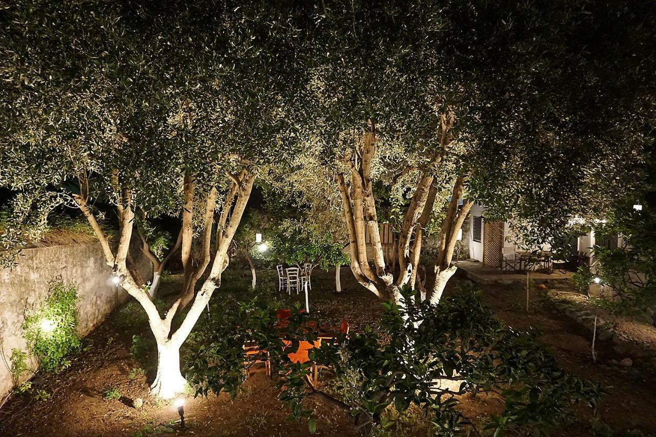 スペツェス Two Olive Treesゲストハウス エクステリア 写真